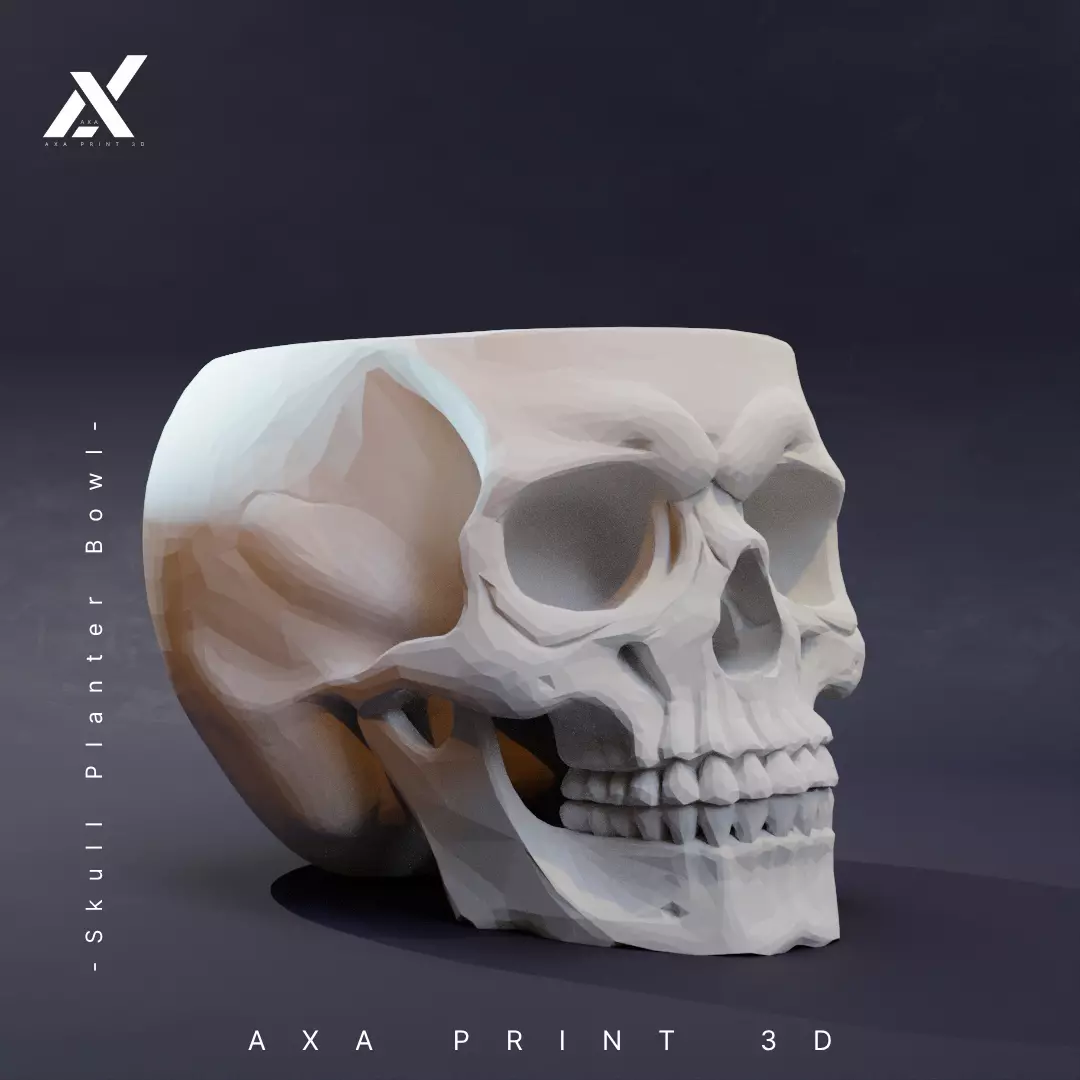 Skull Planter Bowl STL 3D Printable Halloween Decor 3D print model_0