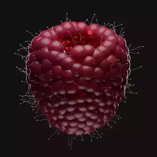 raspberry