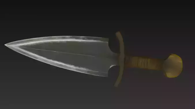 Rustic Medieval Dagger 3D Model