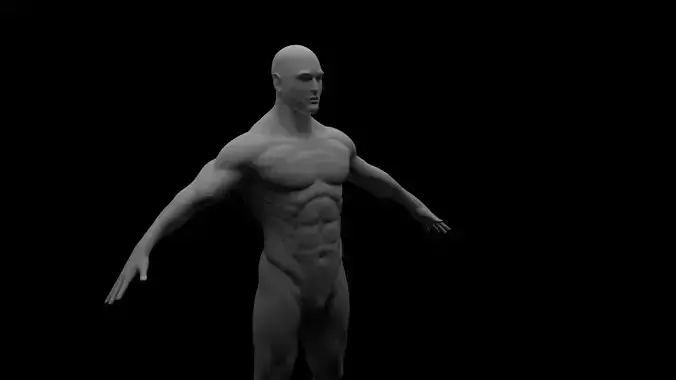 Male 3D Model - Human Anatomy Free 3D model
