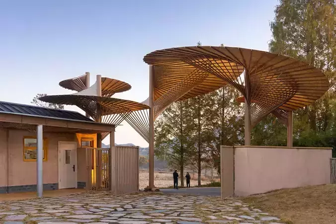 Spiral Tree Shape Pavilion