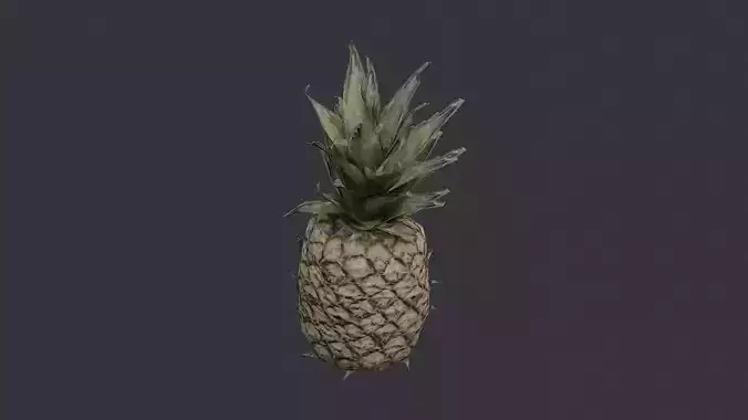 Pineapple fruit asset