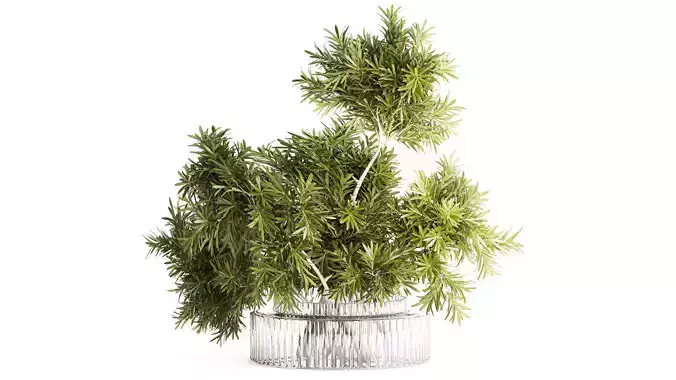 Realistic flower bouquet decorated branches leaves glass vase