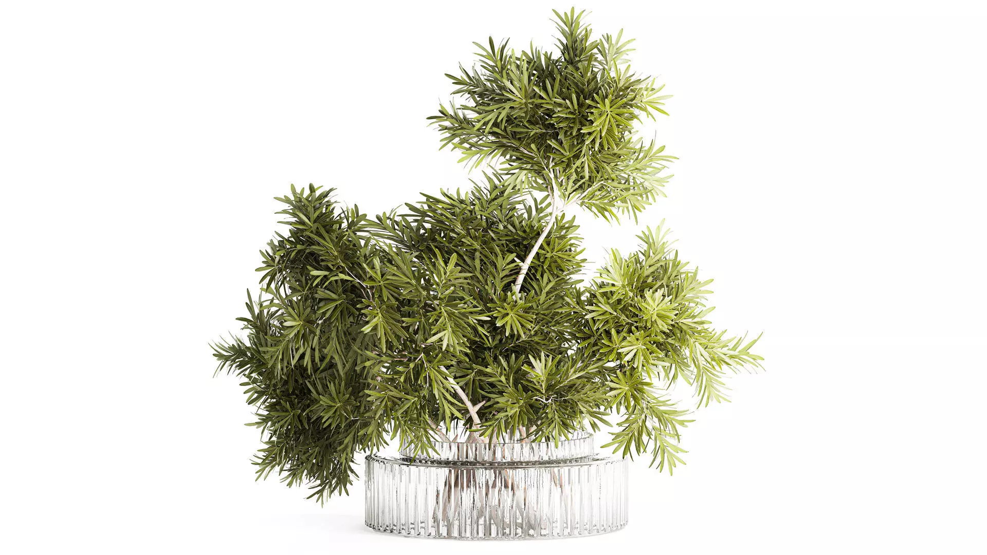 Realistic flower bouquet decorated branches leaves glass vase 3D model