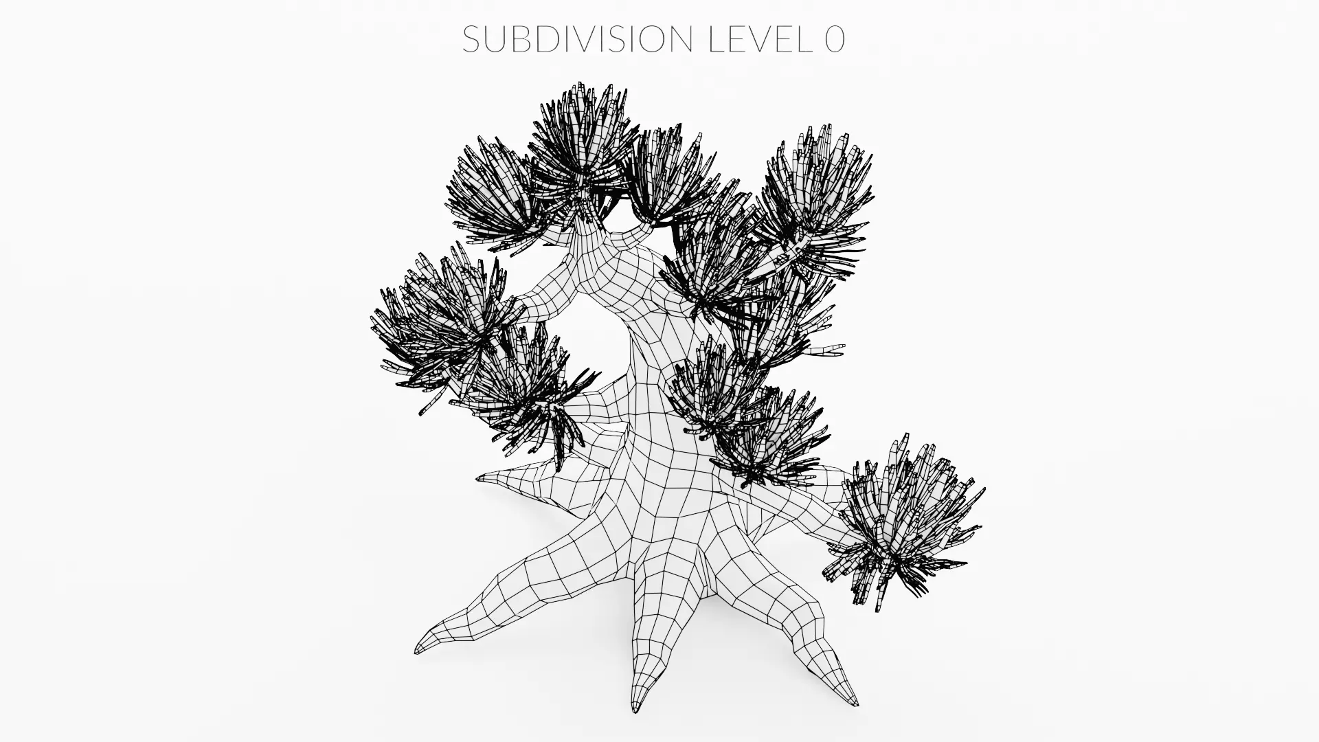 Stylized Pine Bonsai Tree Low-poly 3D model_10