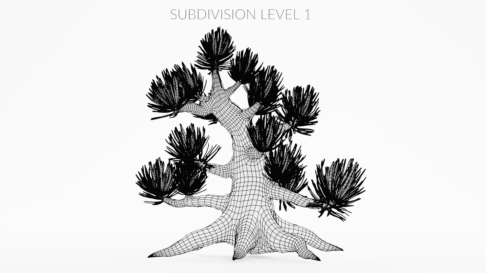 Stylized Pine Bonsai Tree Low-poly 3D model_9