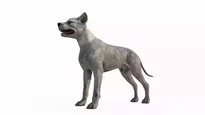 Mammalian hunting dog