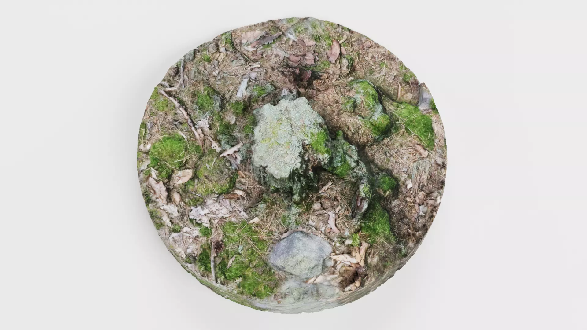 Tree Stump - Scanned Low-poly 3D model_5