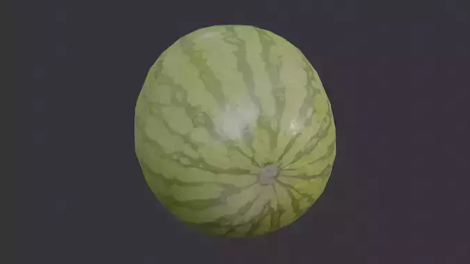 Watermelon fruit model with realistic texture