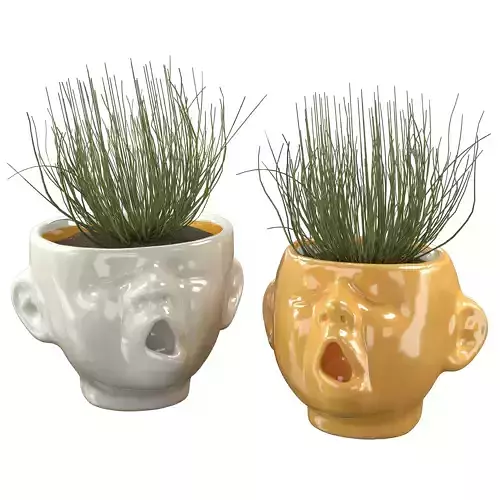 Baby Head Pot Planter