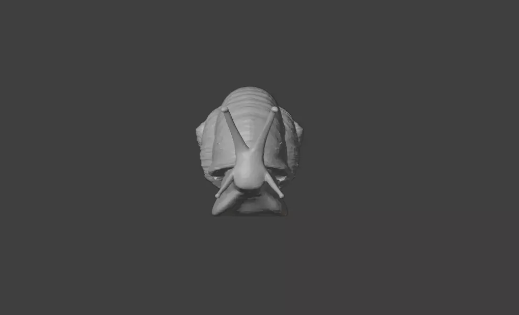 Realistic Garden Snail Low-poly 3D model_17