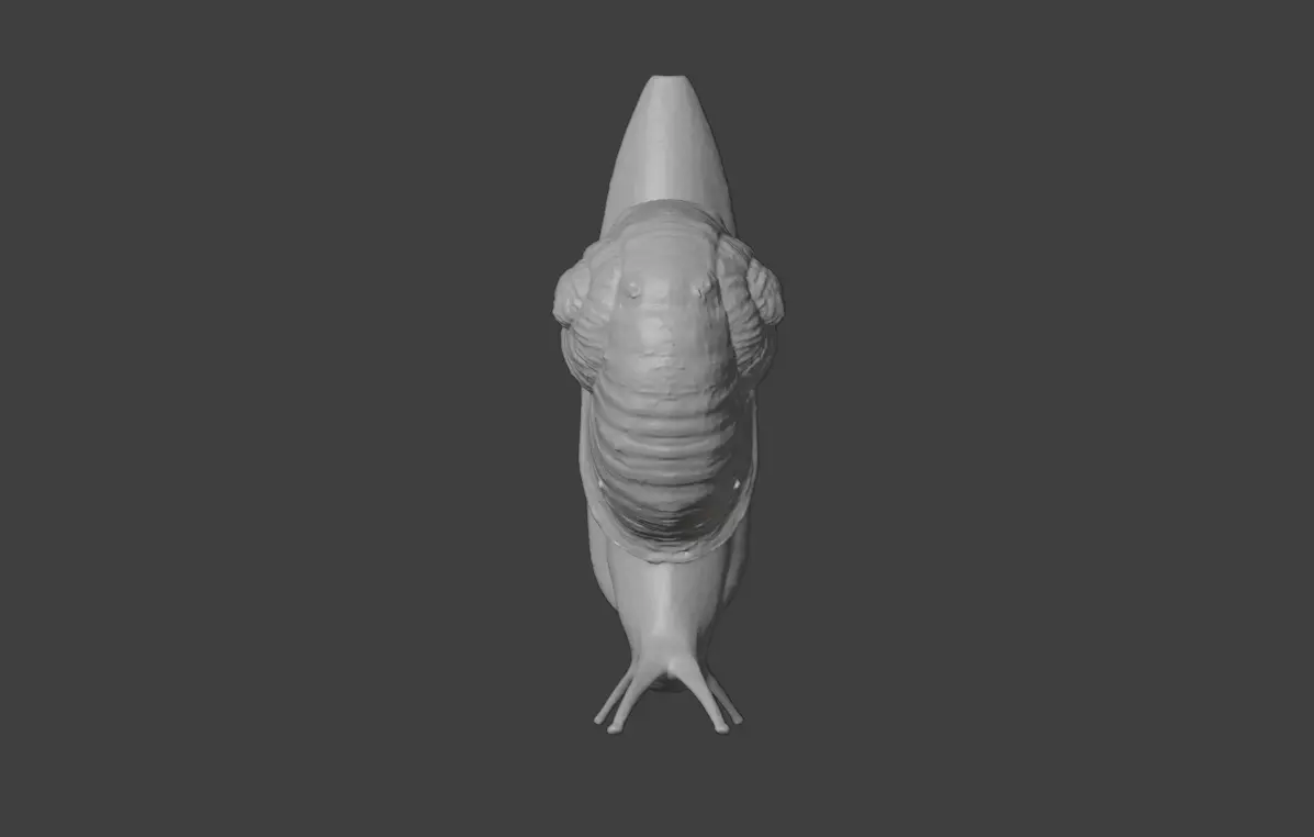 Realistic Garden Snail Low-poly 3D model_21