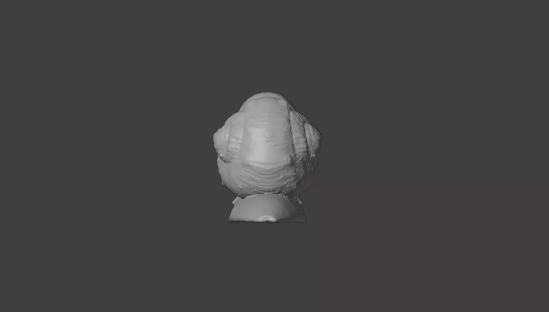 Realistic Garden Snail Low-poly 3D model_19
