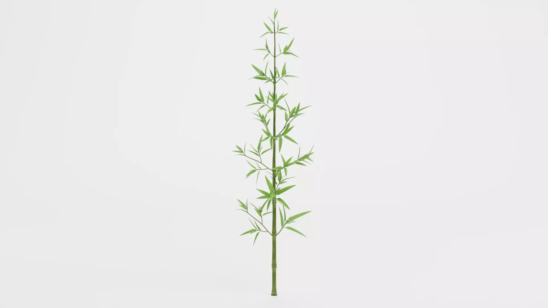 Bamboo Plant - Stem with Leaves Low-poly 3D model_0