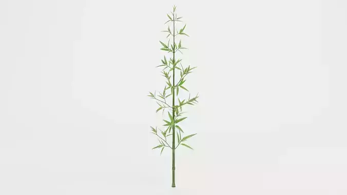 Bamboo Plant - Stem with Leaves