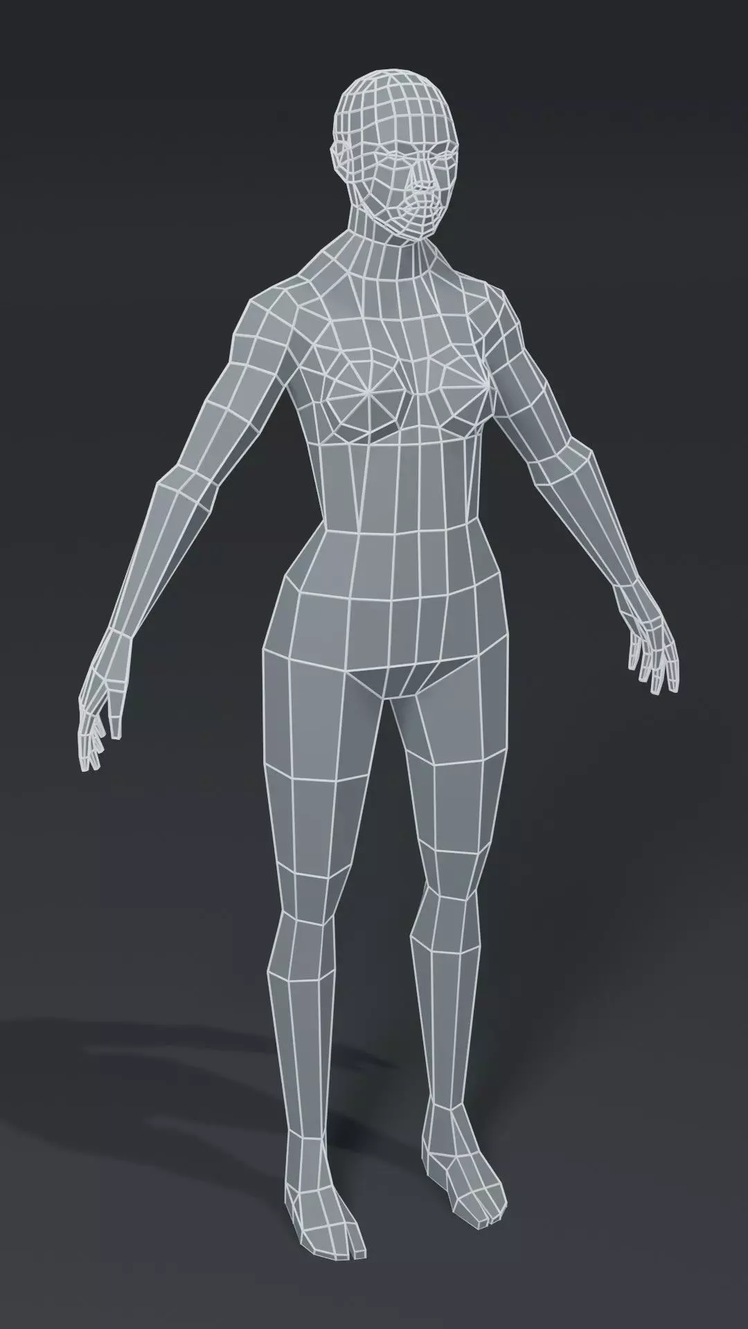 Human Body Base Mesh 40 Models Pack with 76 Sound Effects Low-poly 3D model_62