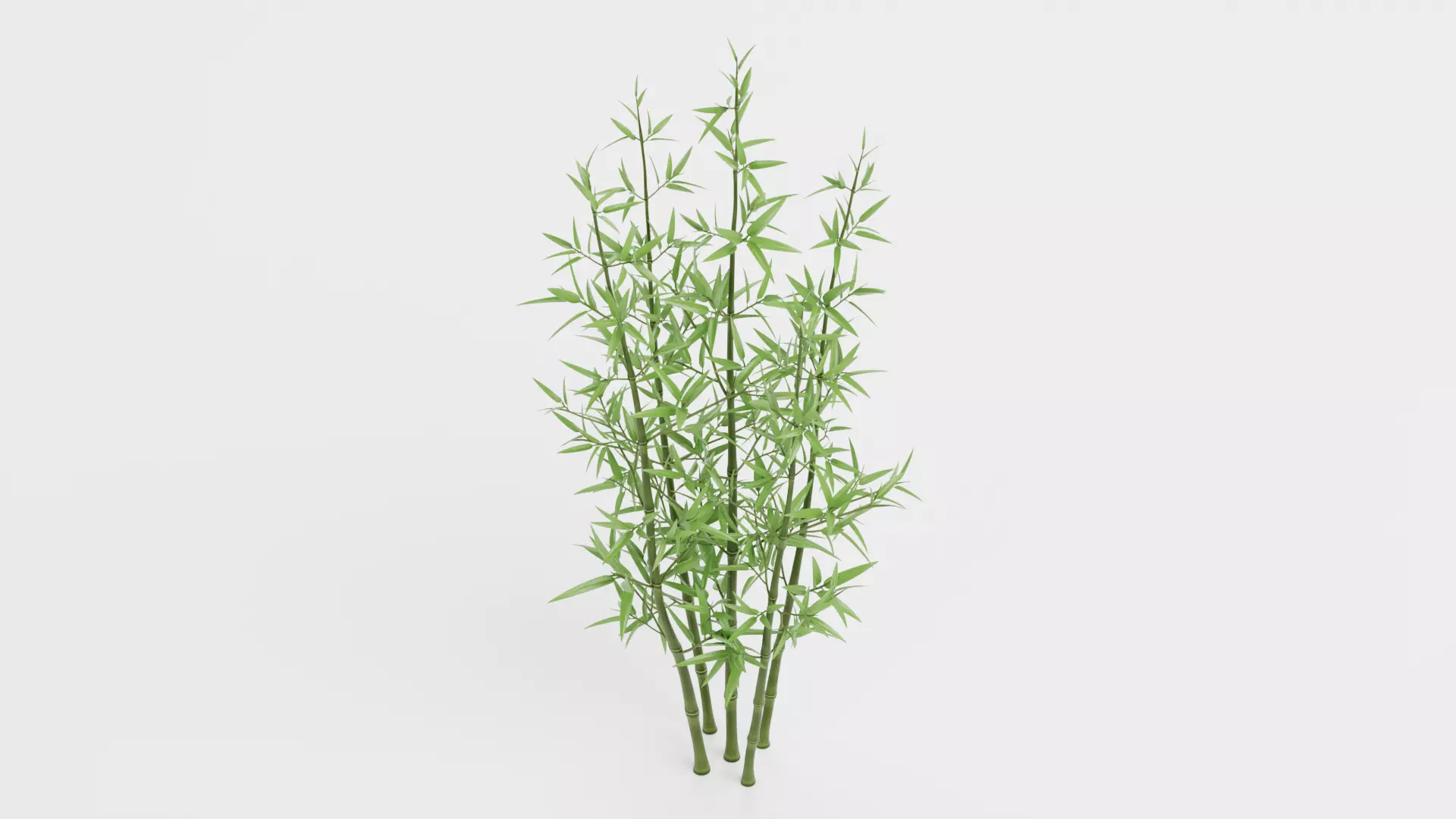 Bamboo Cluster Low-poly 3D model_5