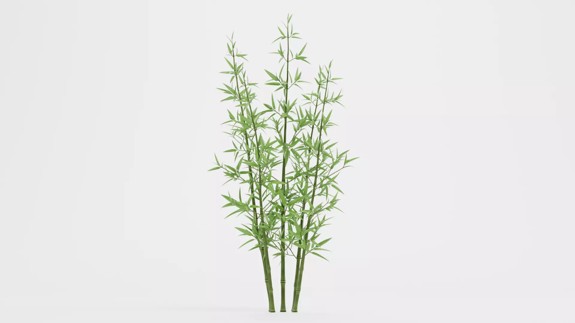 Bamboo Cluster Low-poly 3D model_3