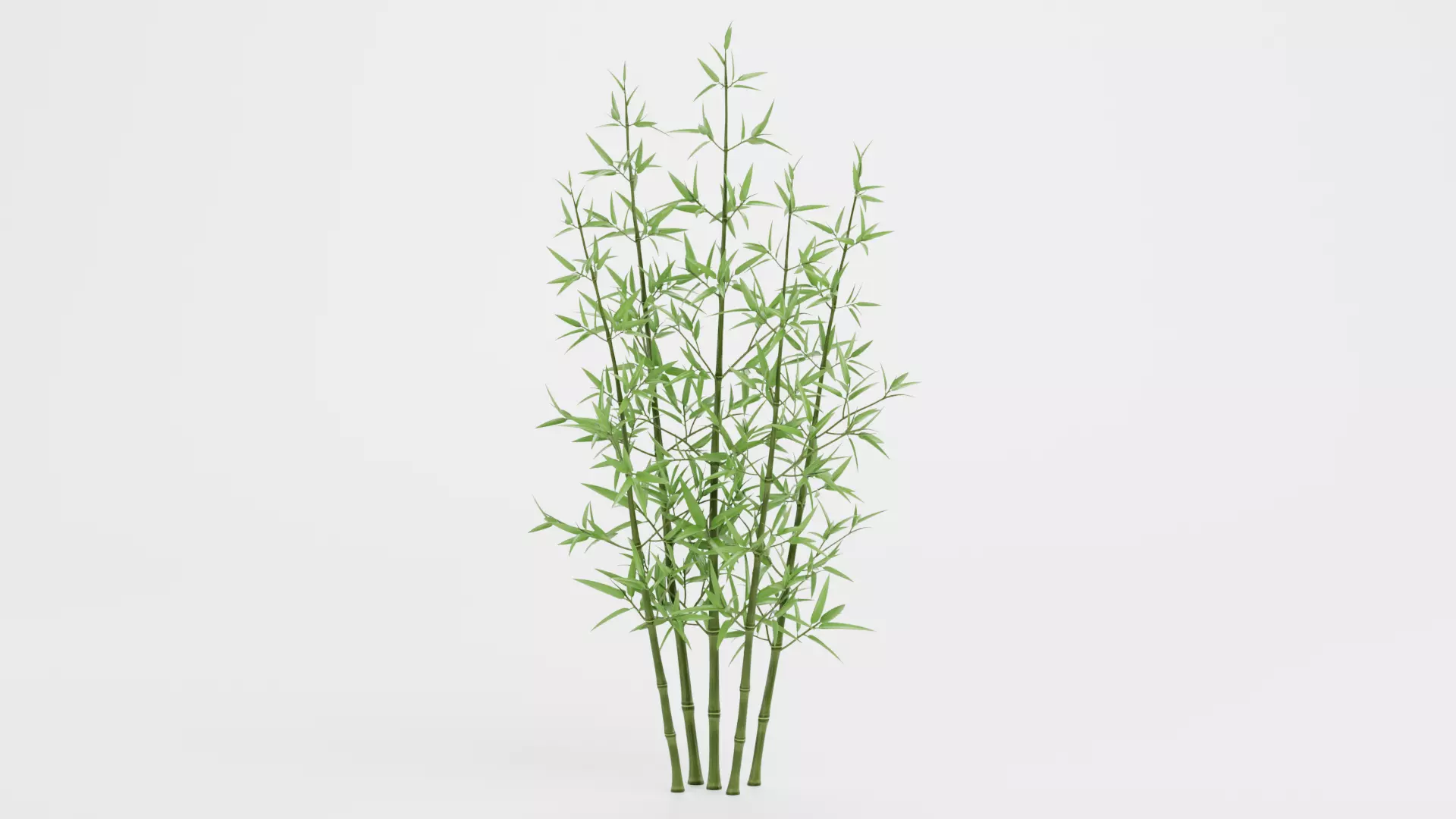 Bamboo Cluster Low-poly 3D model_0