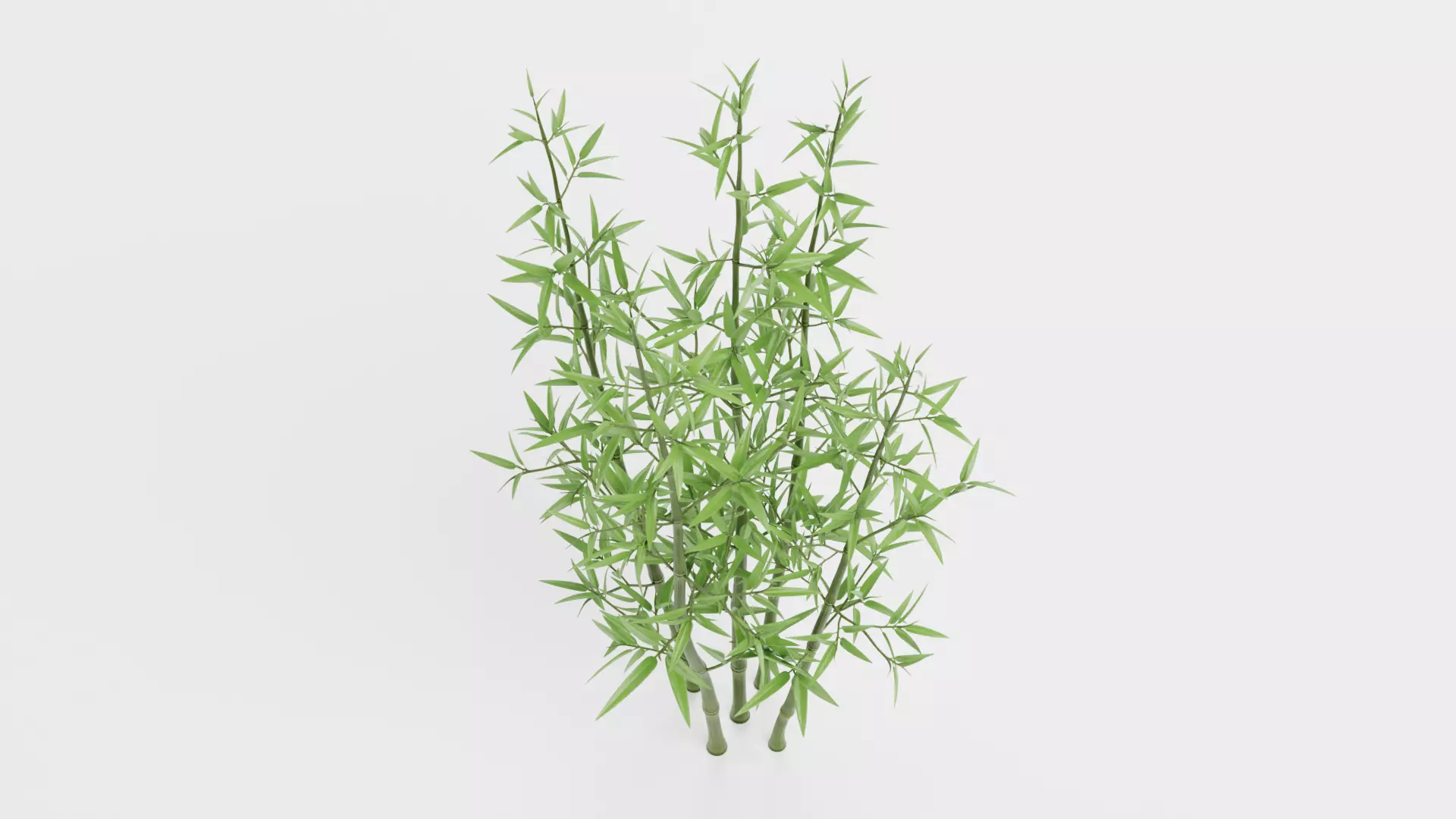 Bamboo Cluster Low-poly 3D model_6