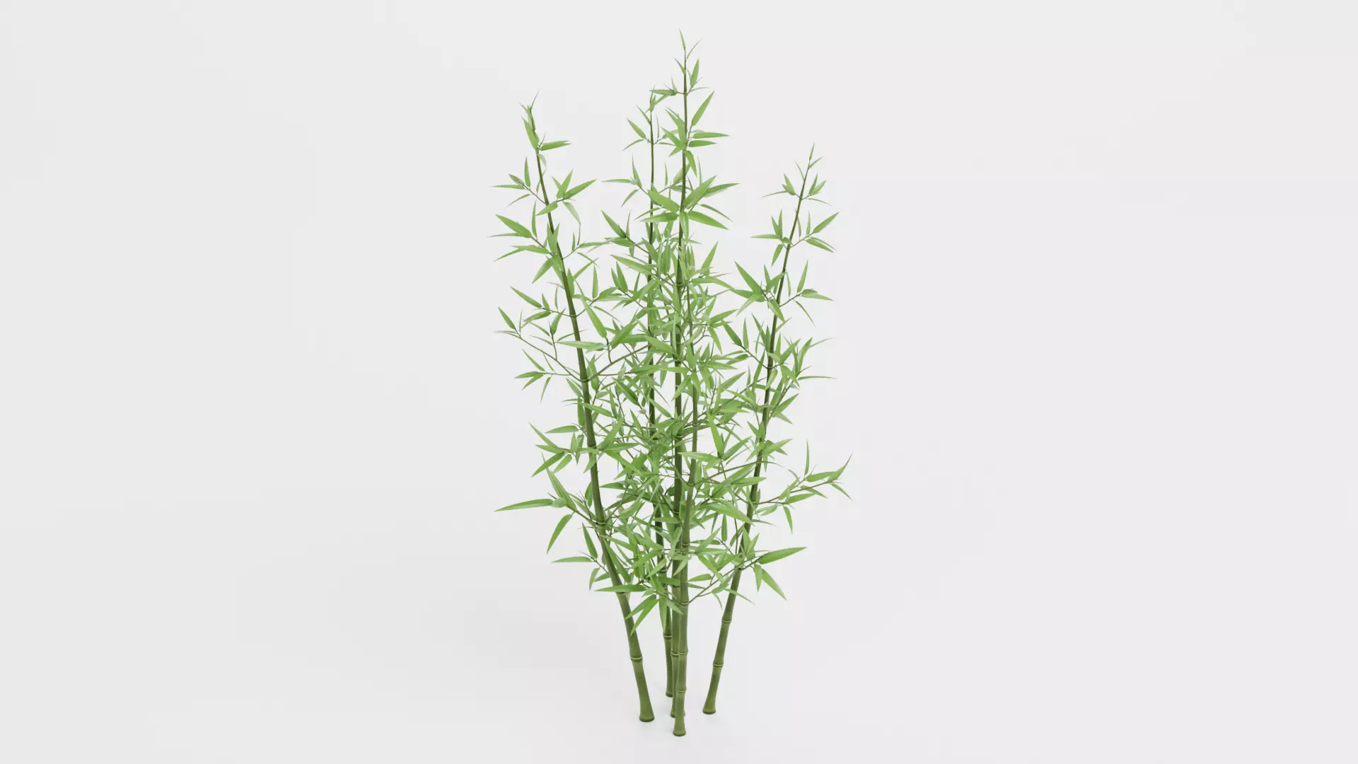 Bamboo Cluster Low-poly 3D model_4