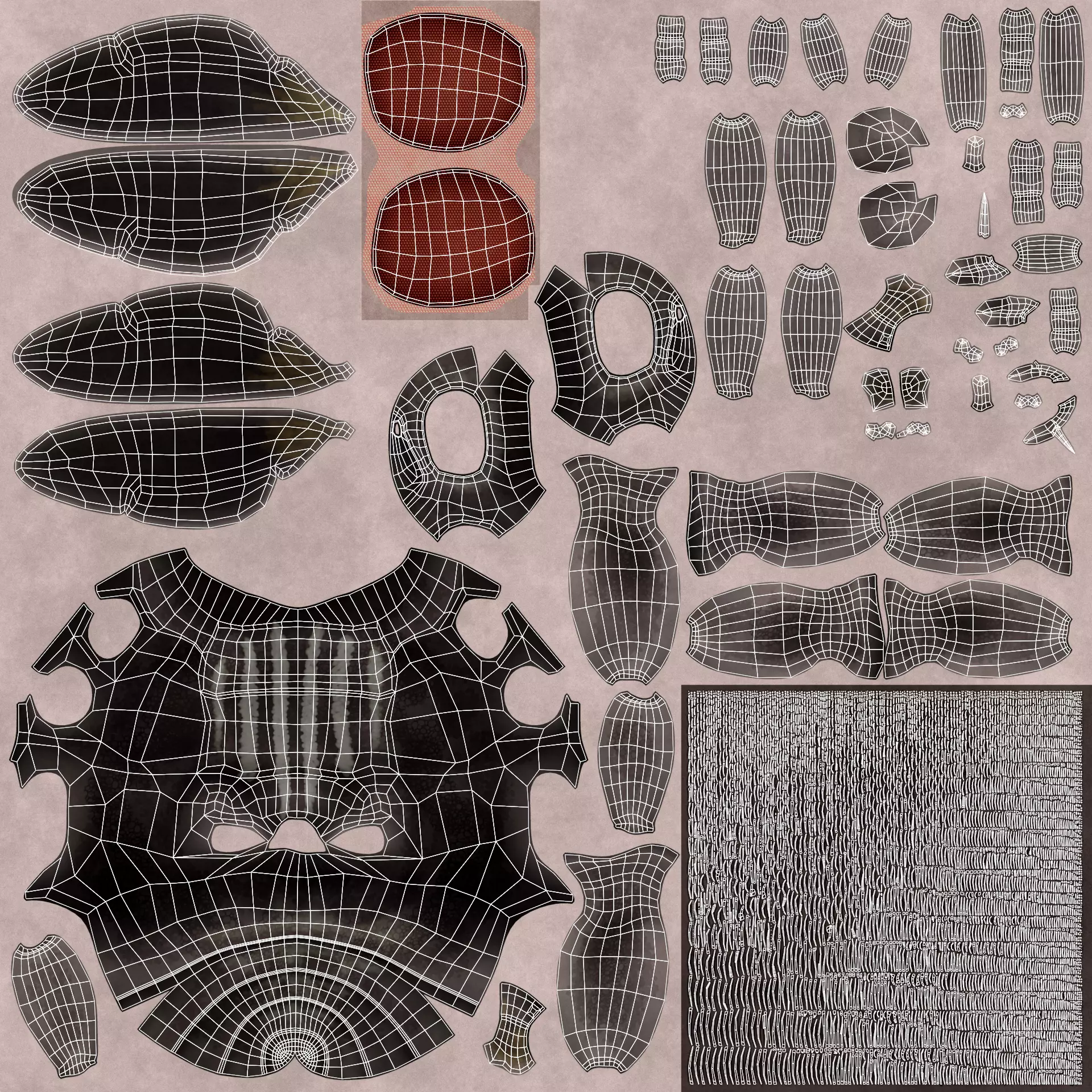 Housefly - Musca Domestica Low-poly 3D model_8