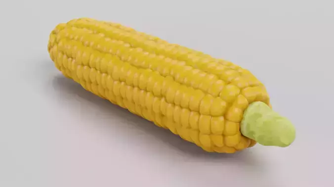 Corn Cob with Detailed Inner Kernel Structure Low-poly 3D model 5