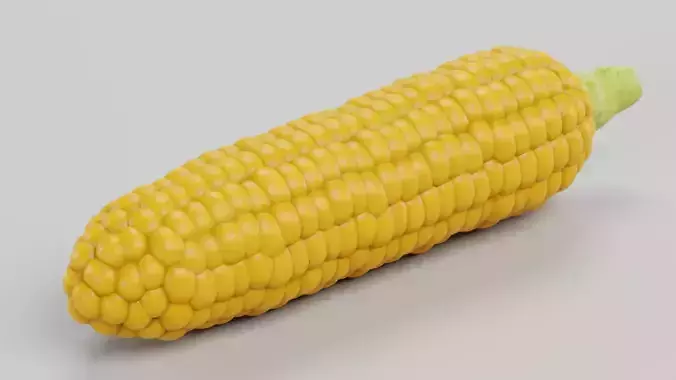 Corn Cob with Detailed Inner Kernel Structure Low-poly 3D model 6