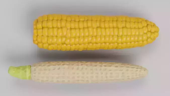 Corn Cob with Detailed Inner Kernel Structure Low-poly 3D model 3