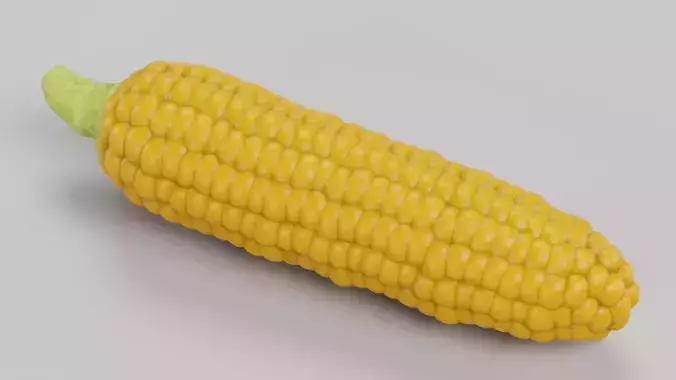 Corn Cob with Detailed Inner Kernel Structure Low-poly 3D model 2