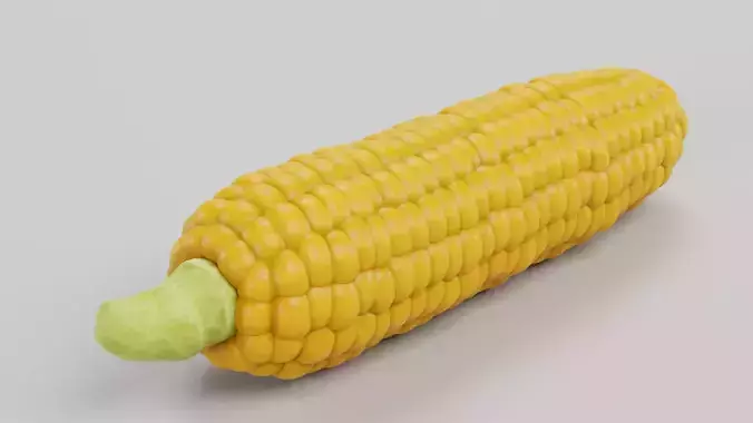 Corn Cob with Detailed Inner Kernel Structure Low-poly 3D model 4