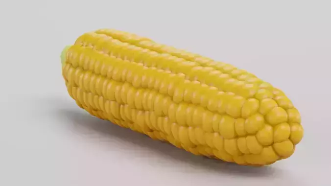 Corn Cob with Detailed Inner Kernel Structure Low-poly 3D model 7