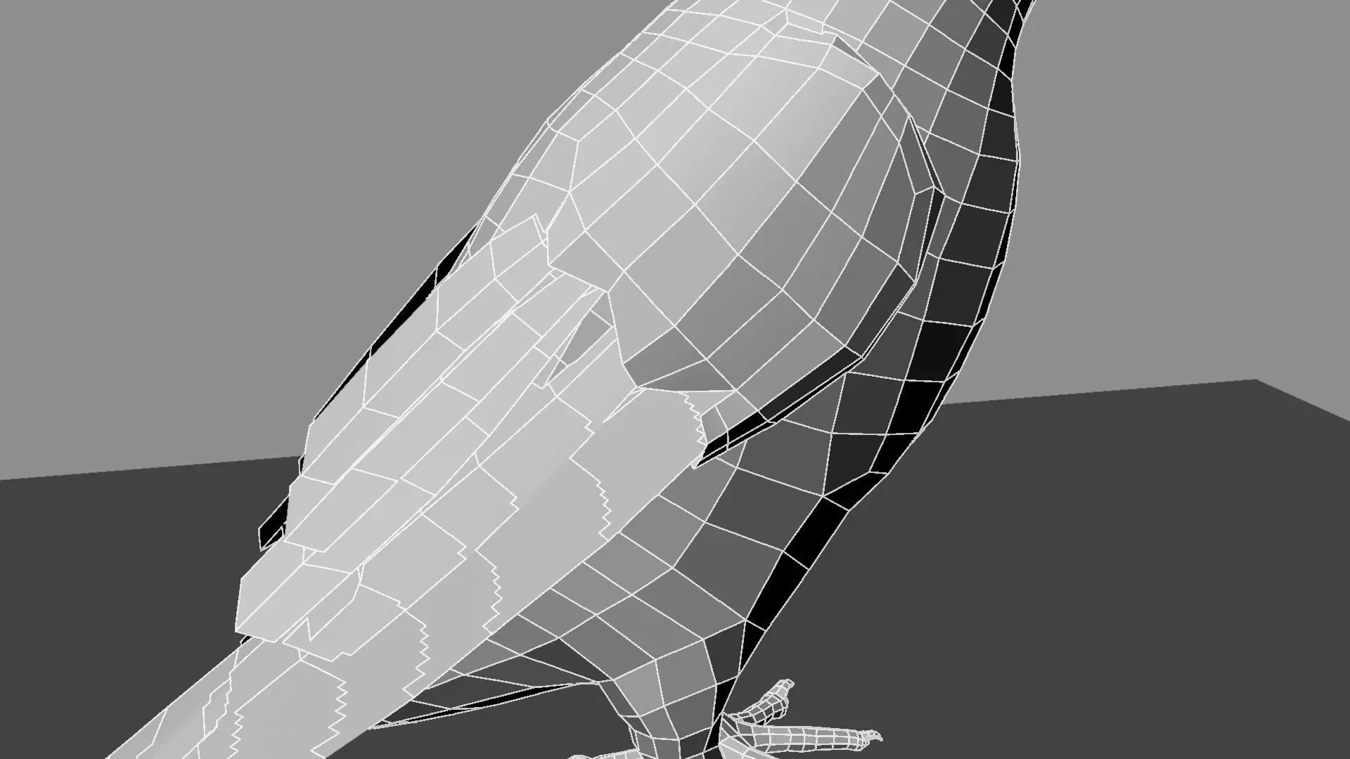 Blue wing mountain tanager close wing Animation with Blend Shape 3D model_47