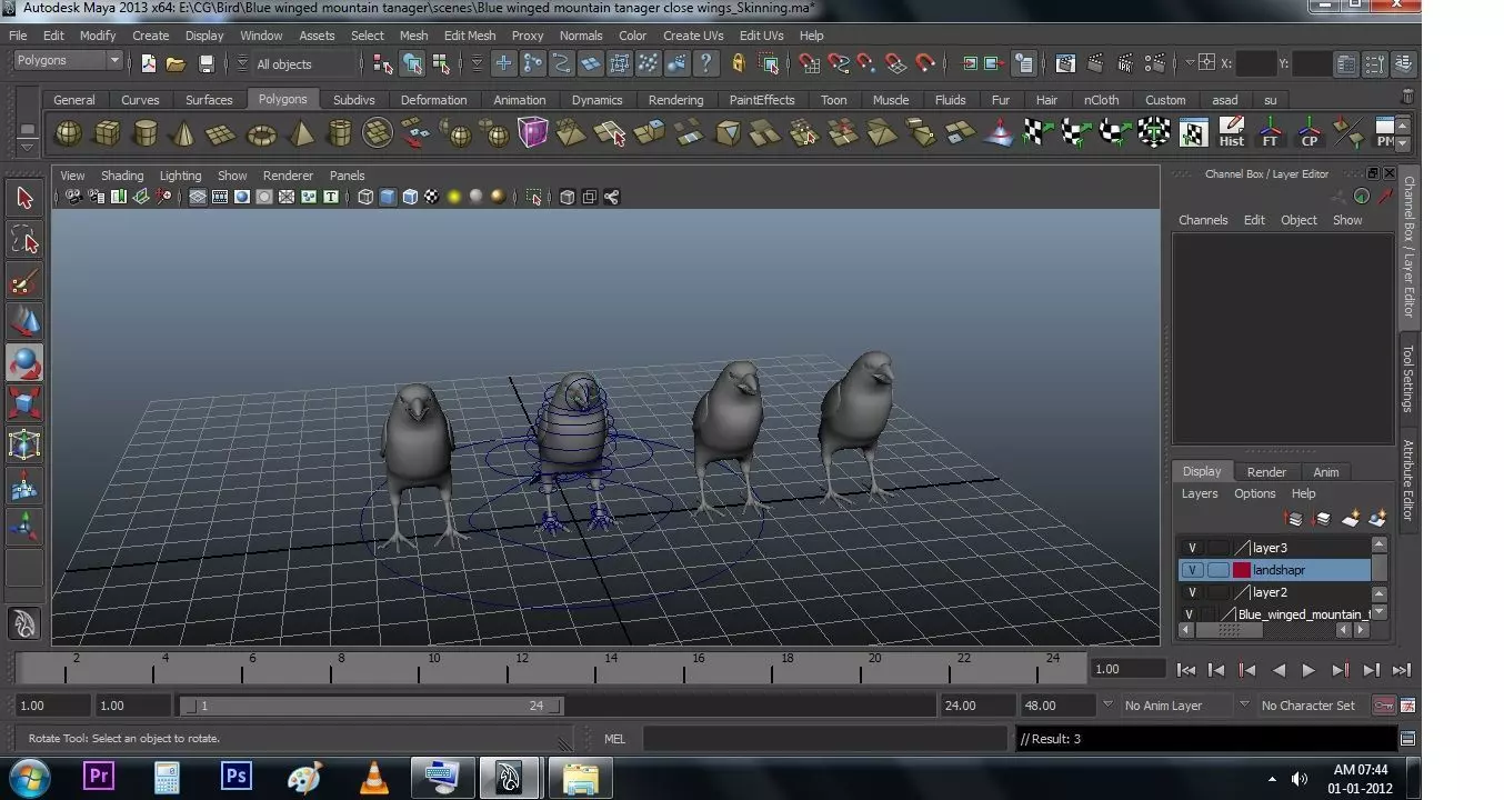 Blue wing mountain tanager close wing Animation with Blend Shape 3D model_49