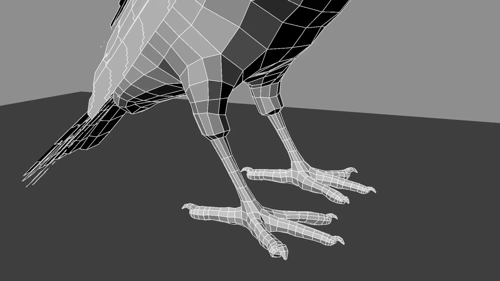 Blue wing mountain tanager close wing Animation with Blend Shape 3D model_32