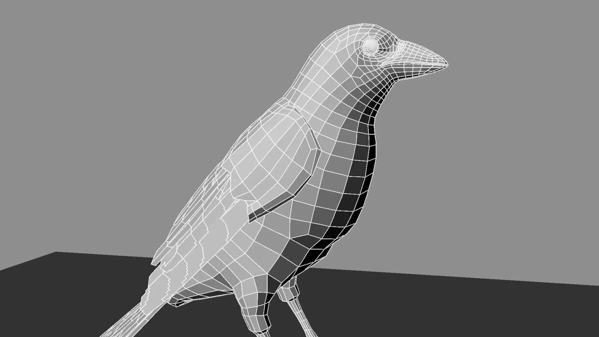 Blue wing mountain tanager close wing Animation with Blend Shape 3D model_36