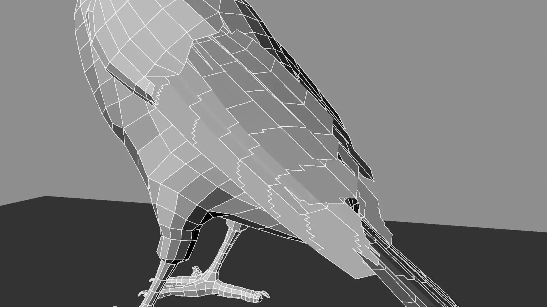 Blue wing mountain tanager close wing Animation with Blend Shape 3D model_44