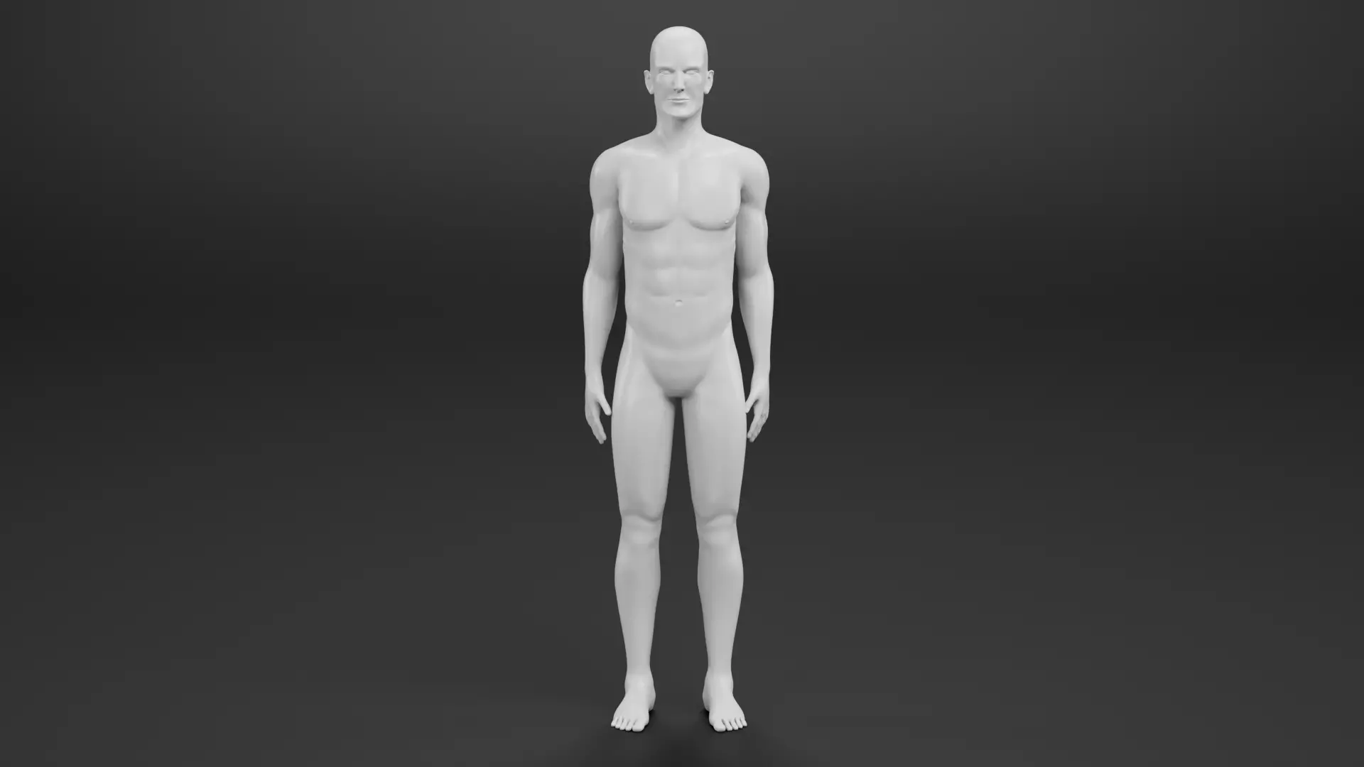 Male Dummy - Man Mannequin - Rigged Low-poly 3D model_8