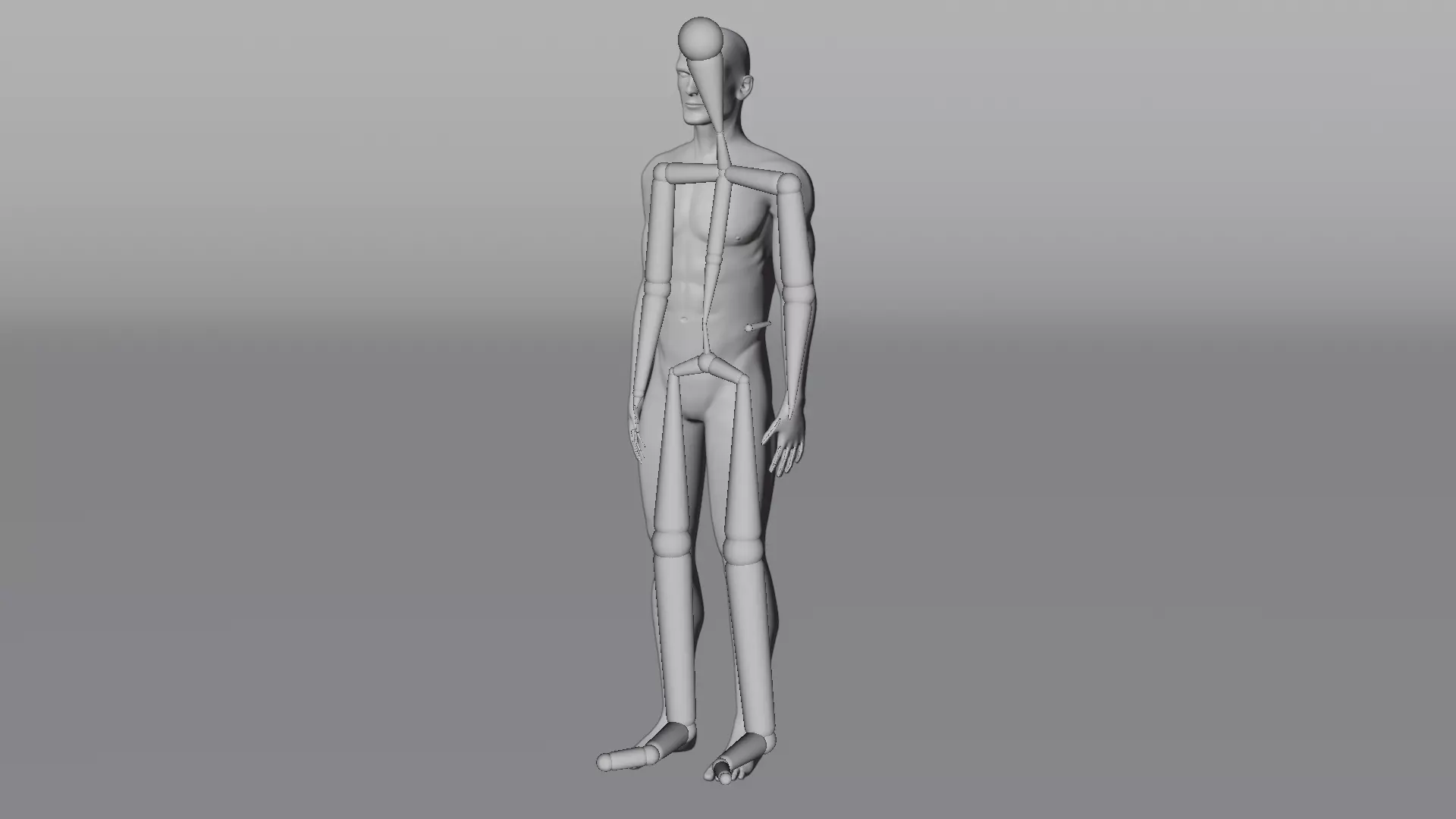 Male Dummy - Man Mannequin - Rigged Low-poly 3D model_1