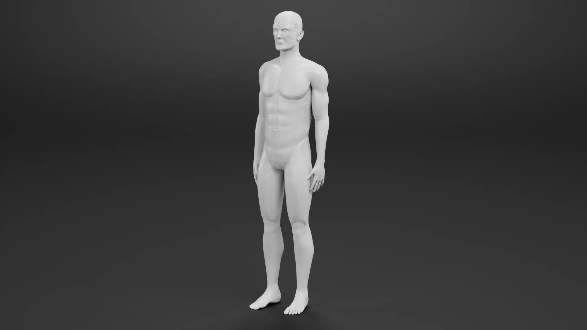 Male Dummy - Man Mannequin - Rigged Low-poly 3D model_7
