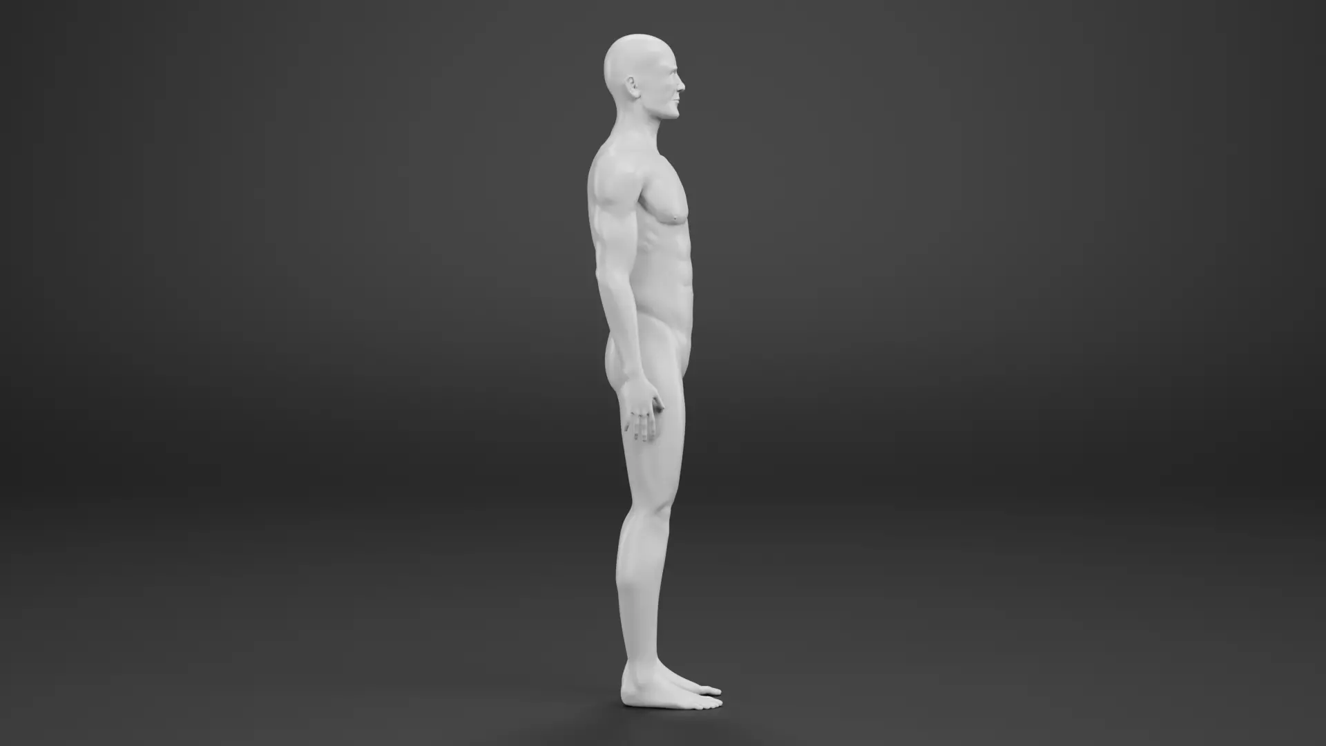 Male Dummy - Man Mannequin - Rigged Low-poly 3D model_10