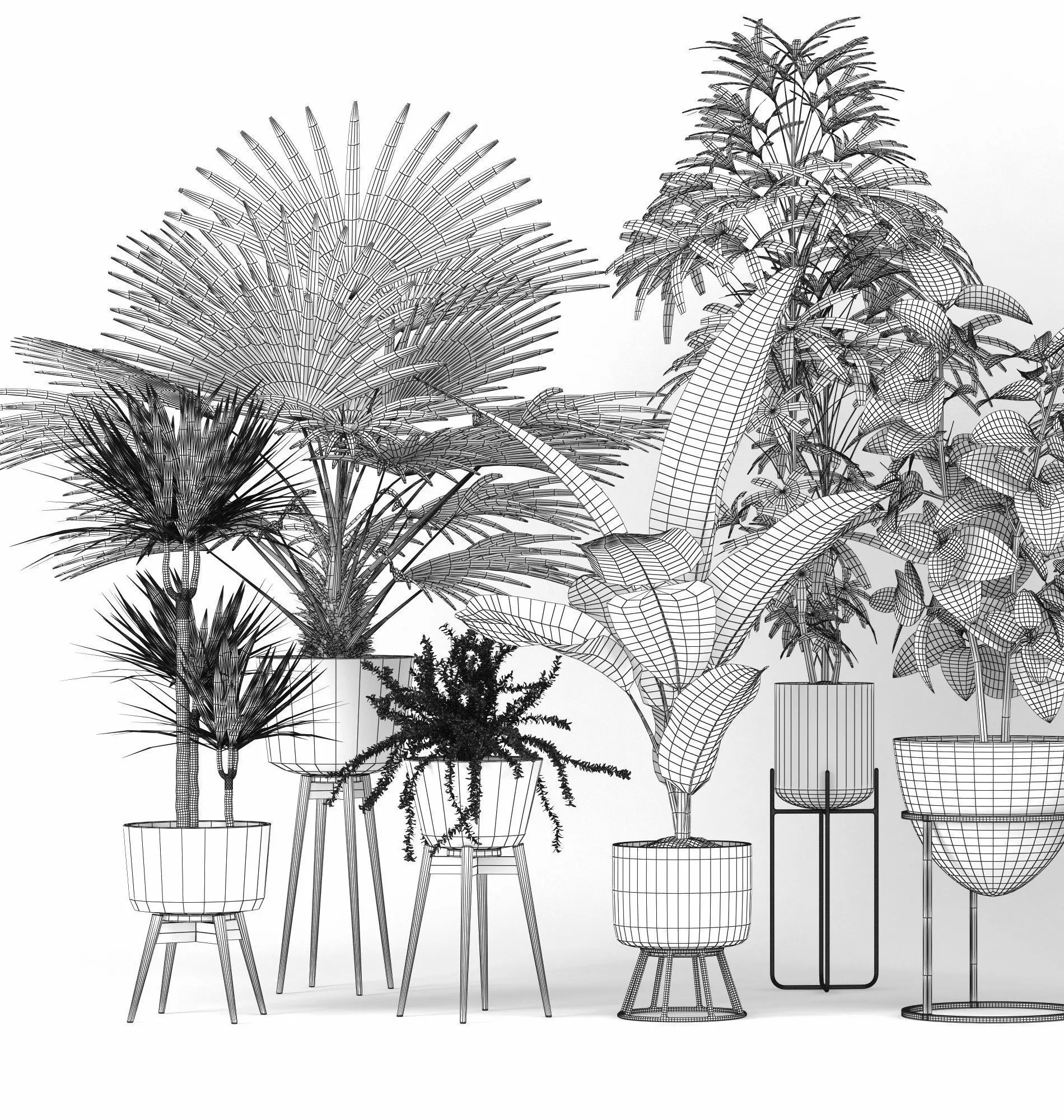 Plants  Free low-poly 3D model_4