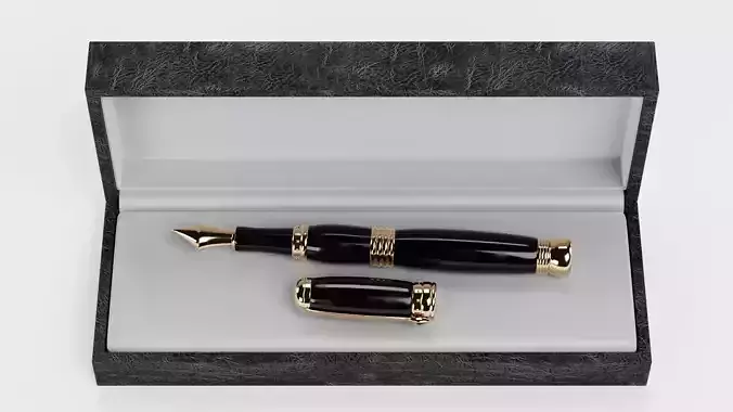 Luxury Fountain Pen in Box