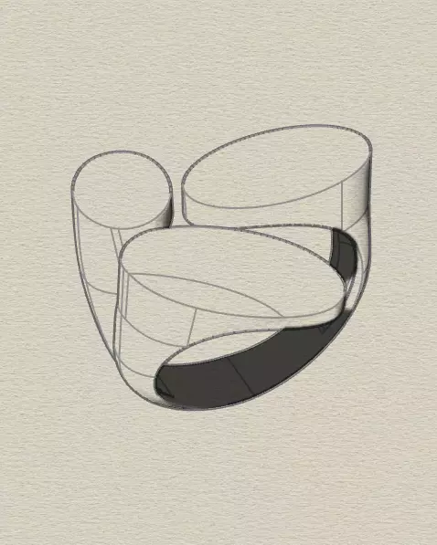 bypass gold ring 3D print model_4