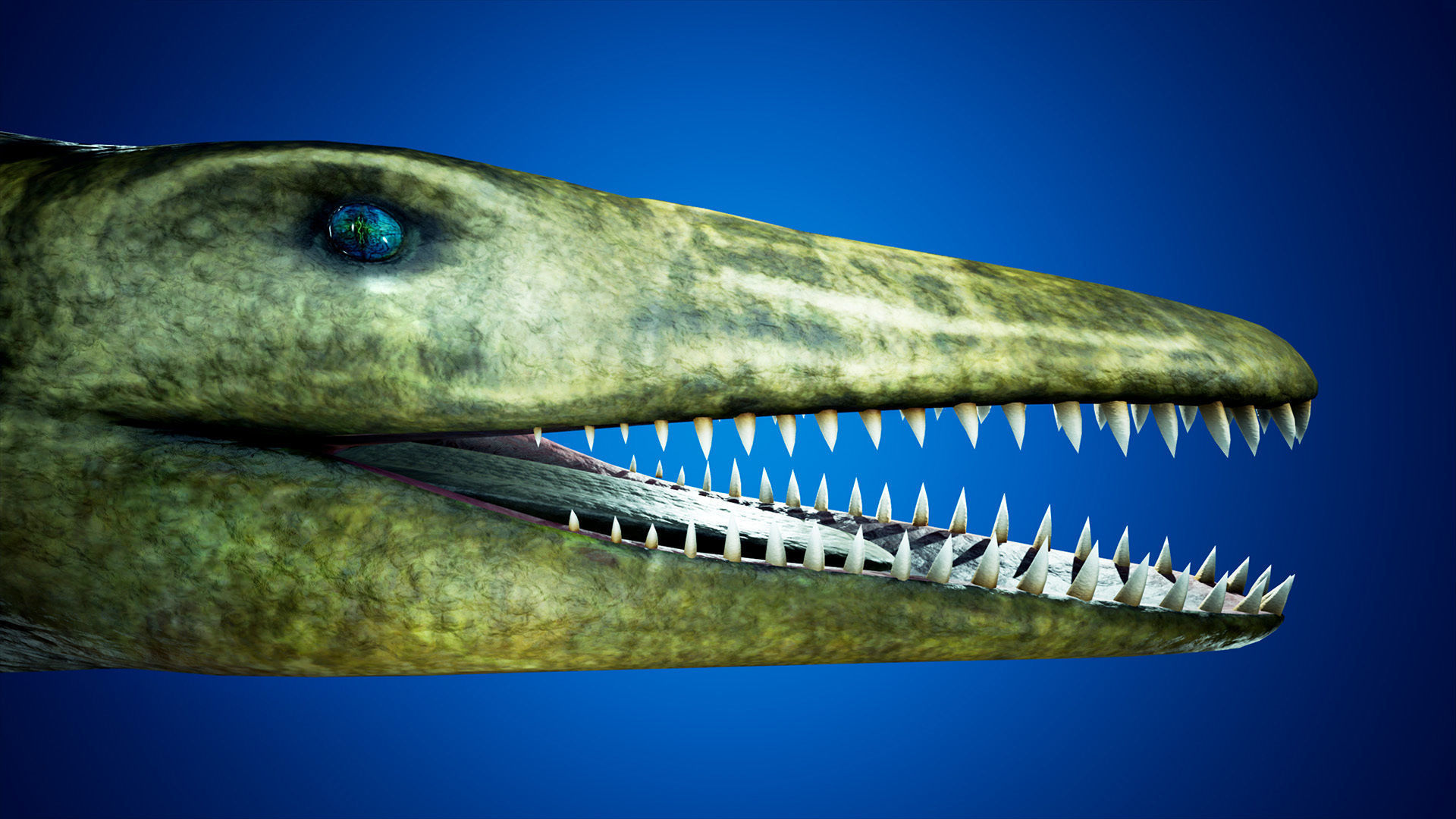 Realistic Pliosaur Mosasaurus with UE4 Support Low-poly 3D model_5