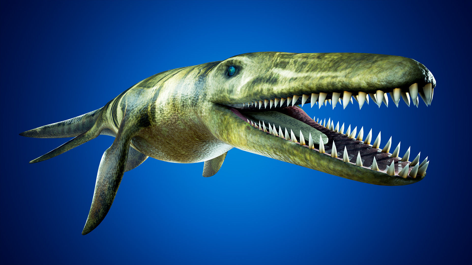 Realistic Pliosaur Mosasaurus with UE4 Support Low-poly 3D model_4