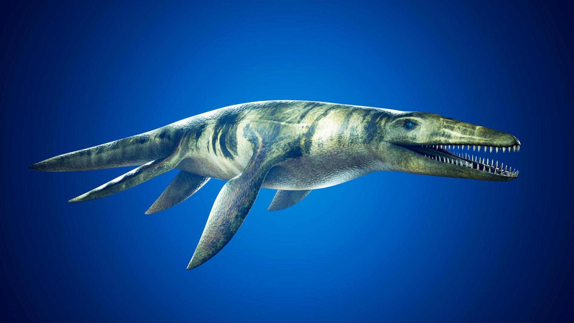 Realistic Pliosaur Mosasaurus with UE4 Support Low-poly 3D model_2