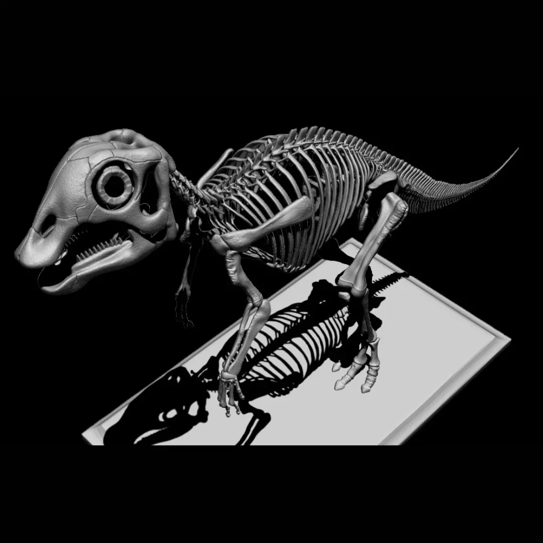 bebe maiasaura v2 3D print model_1