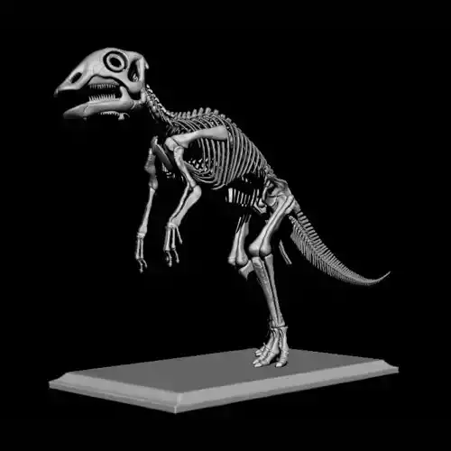 bebe maiasaura v2