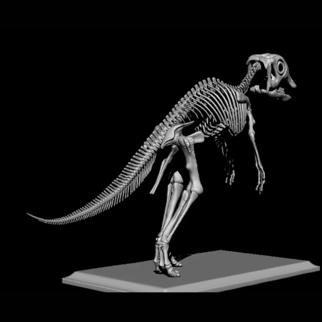 bebe maiasaura v2 3D print model_3